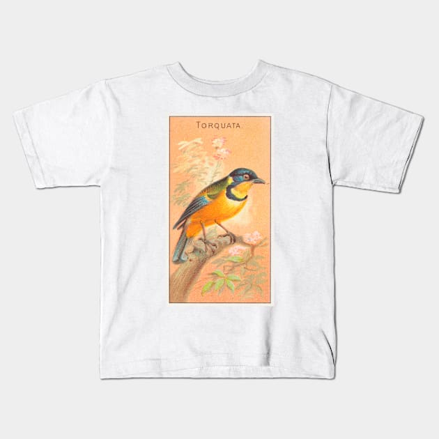 Torquata Kids T-Shirt by WAITE-SMITH VINTAGE ART